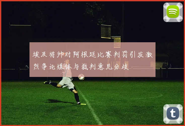 埃及将帅对阿根廷比赛判罚引发激烈争论媒体与裁判意见分歧